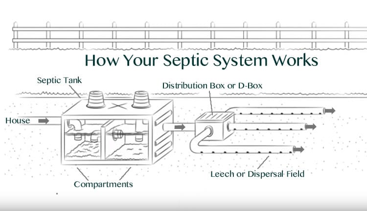 How Does Your Septic System Actually Work?